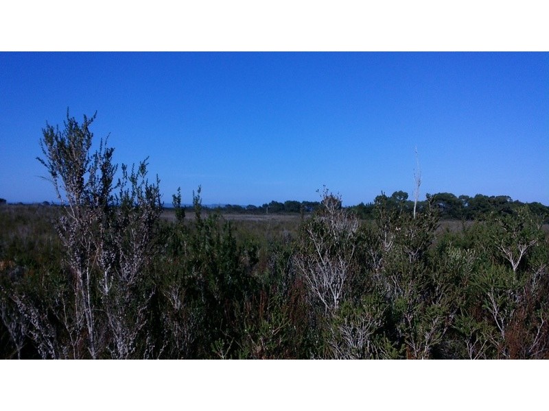 Lot 0 Grining Street, Strahan TAS 7468