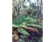 Lot 0 Grining Street, Strahan TAS 7468
