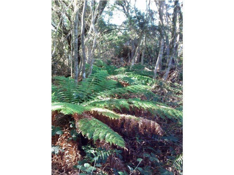 Lot 0 Grining Street, Strahan TAS 7468