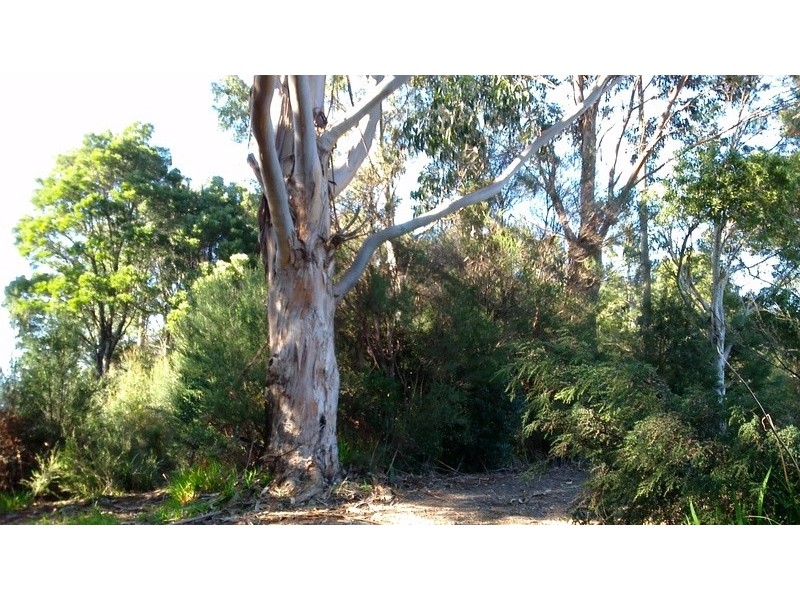 Lot 8 Harrison Street, Strahan TAS 7468