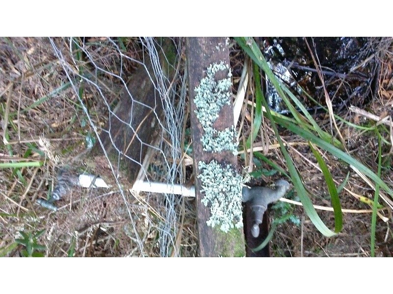 Lot 8 Harrison Street, Strahan TAS 7468