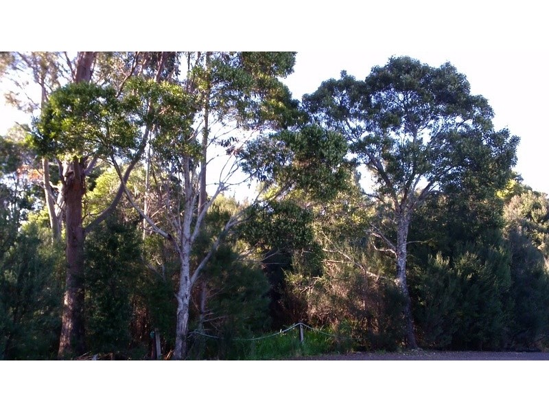 Lot 8 Harrison Street, Strahan TAS 7468