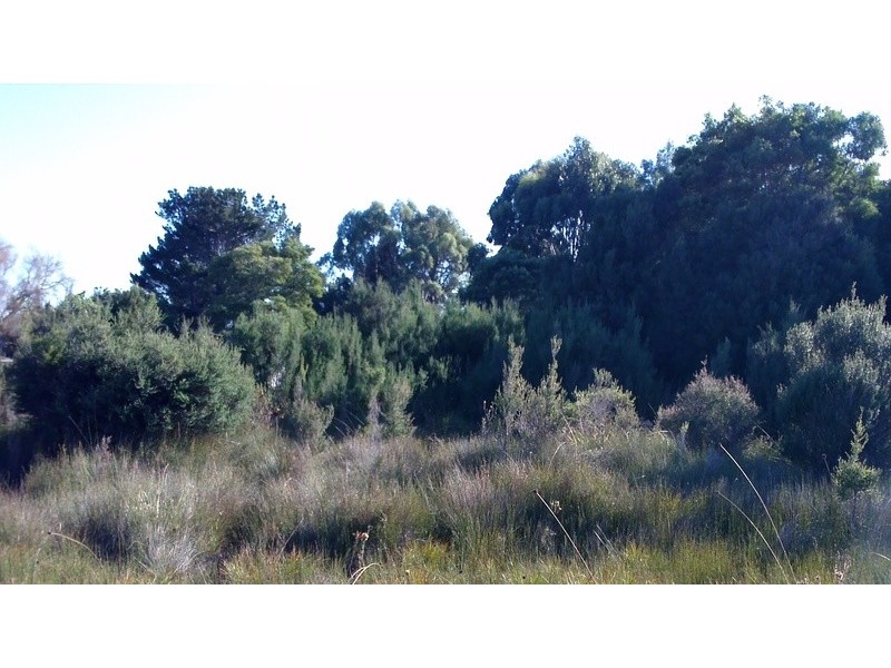 Lot 8 Harrison Street, Strahan TAS 7468