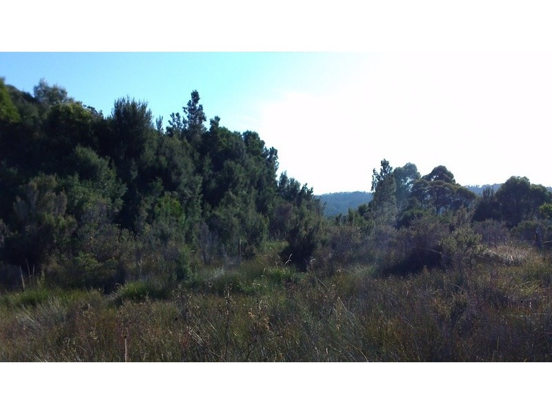 Lot 9 Harrison Street, Strahan TAS 7468