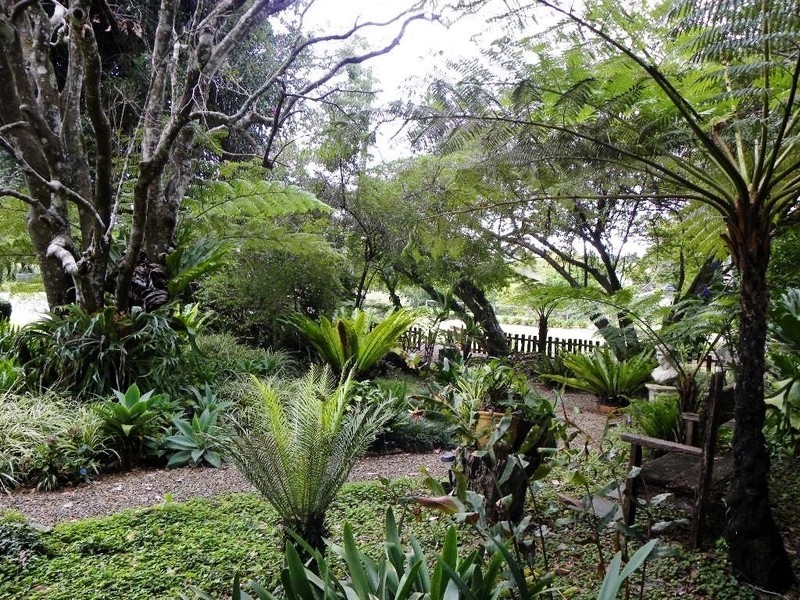 4 Moffitt Court, Maleny QLD 4552