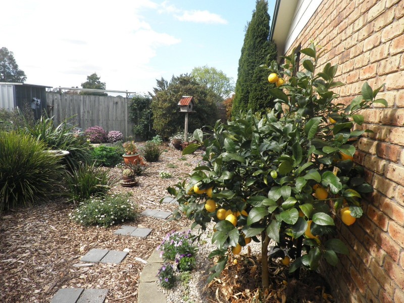 8 Kerrie Court, Spreyton TAS 7310