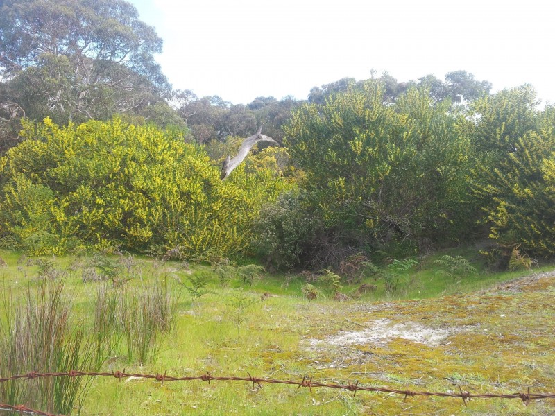 113 Oceanview Drive, Nepean Bay SA 5223