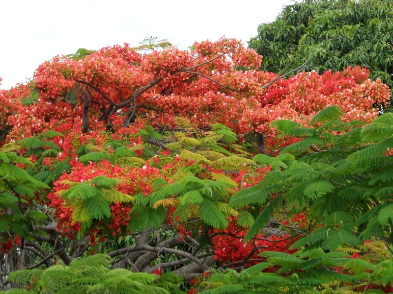 167 Tooley St, Maryborough QLD 4650