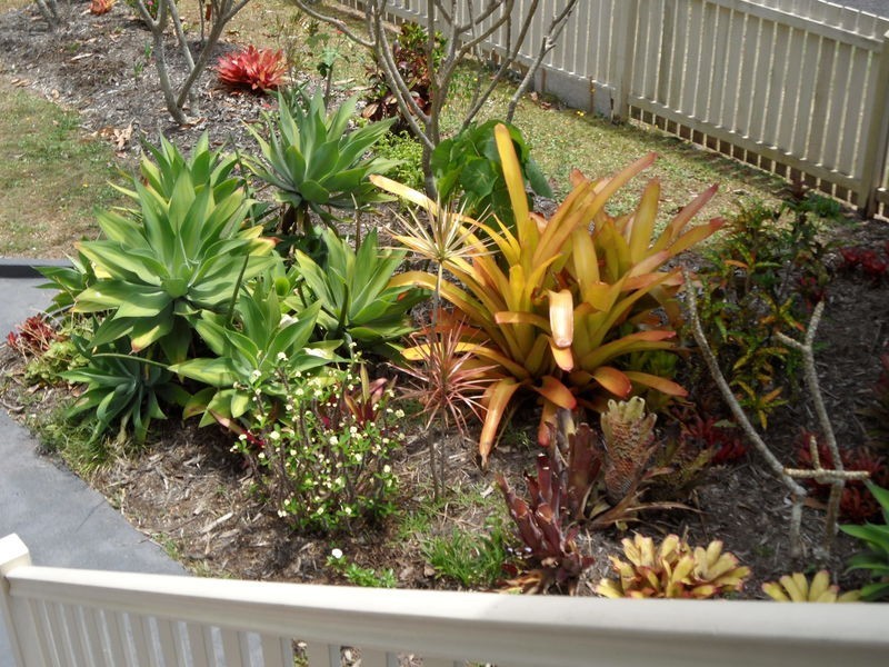 167 Tooley St, Maryborough QLD 4650