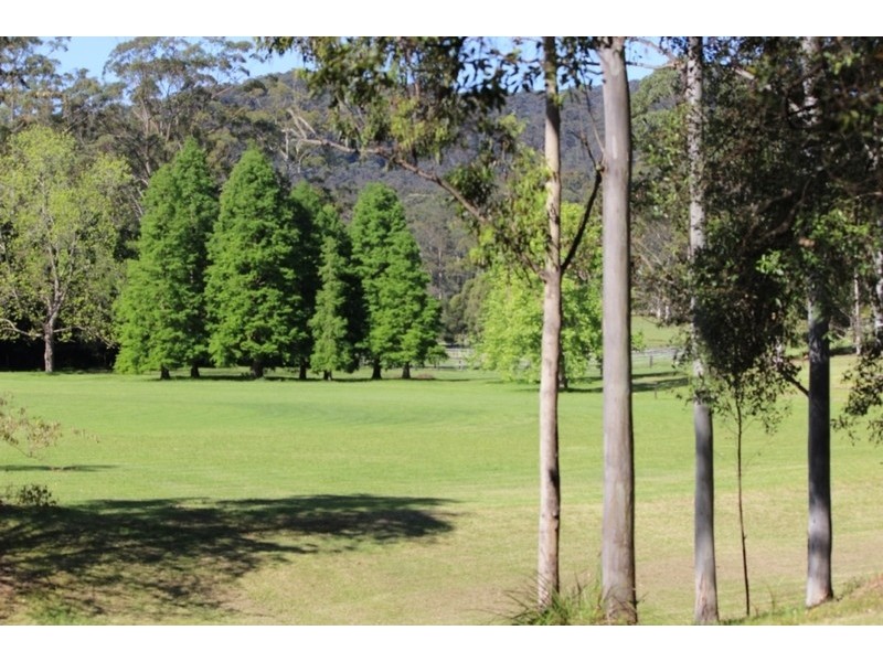 1577 Dooralong Road, Lemon Tree NSW 2259