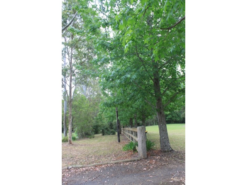 1577 Dooralong Road, Lemon Tree NSW 2259