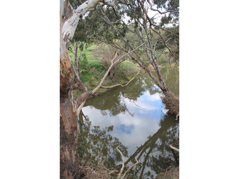 177 Milburn Road, Keilor VIC 3036