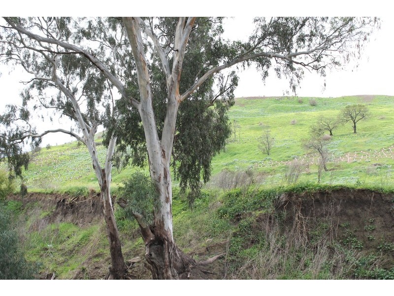 177 Milburn Road, Keilor VIC 3036