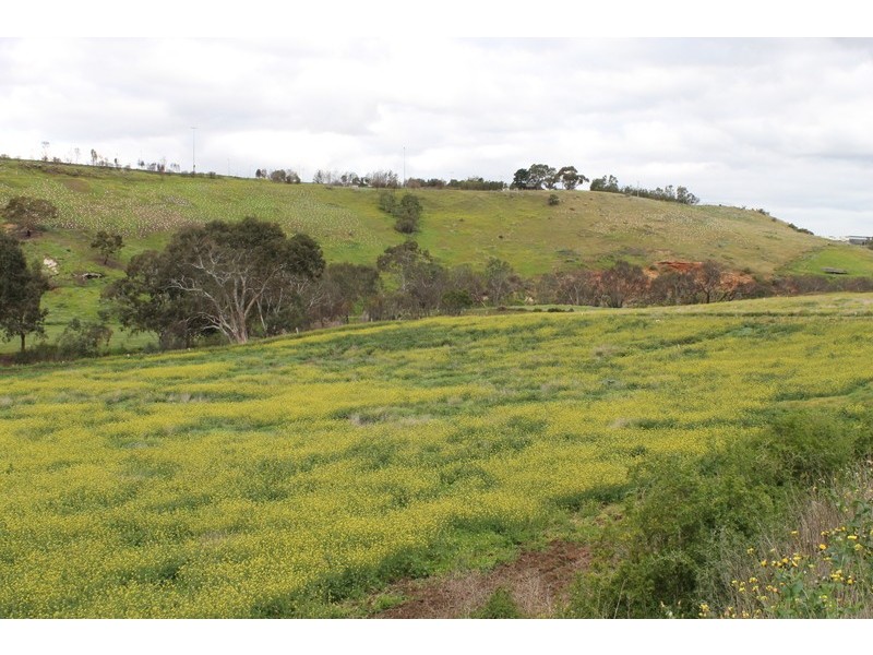 177 Milburn Road, Keilor VIC 3036