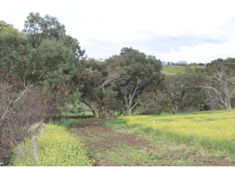 177 Milburn Road, Keilor VIC 3036