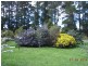 54 Cilwen Rd, Cambridge TAS 7170