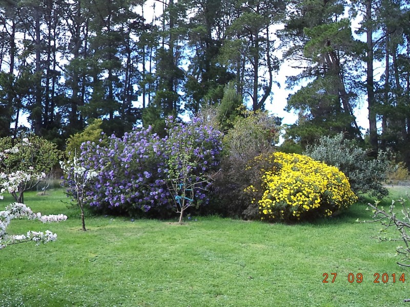 54 Cilwen Rd, Cambridge TAS 7170