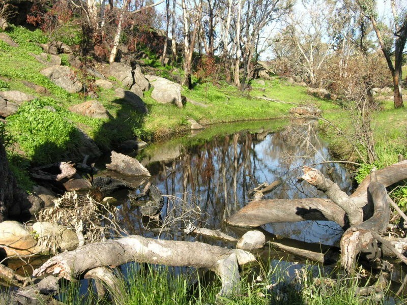 667 Jutland Road, Springton SA 5235