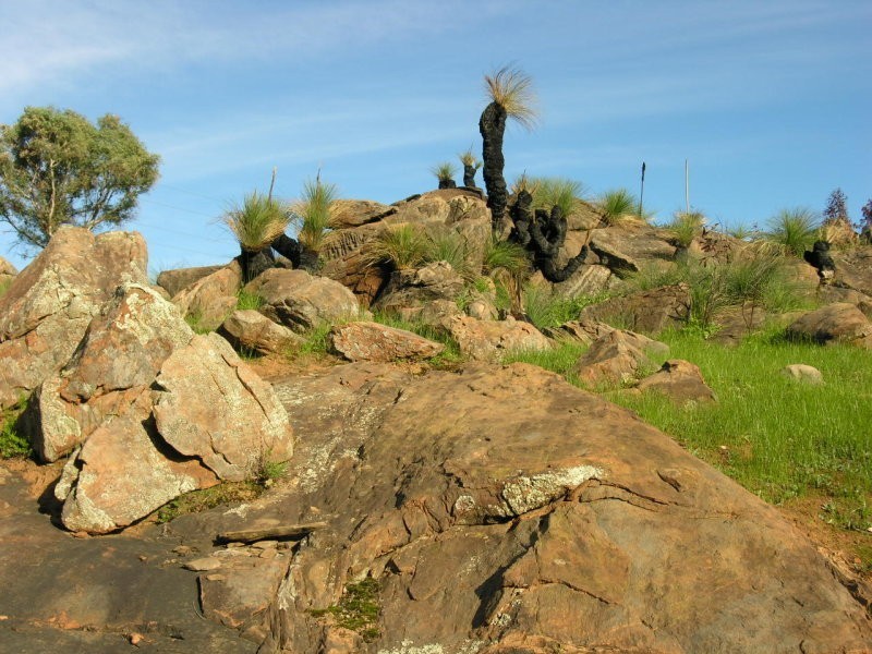 667 Jutland Road, Springton SA 5235