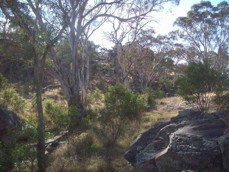 667 Jutland Road, Springton SA 5235