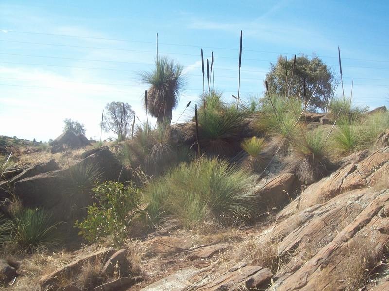 667 Jutland Road, Springton SA 5235