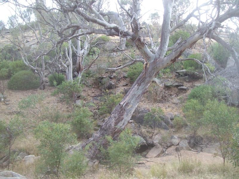 667 Jutland Road, Springton SA 5235