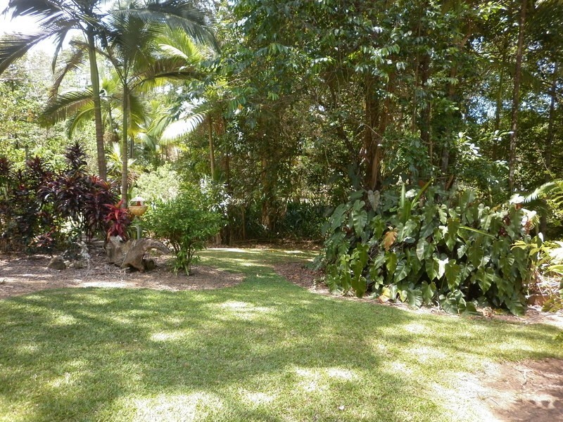 2897  Mossman Daintree Rd, Lower Daintree QLD 4873