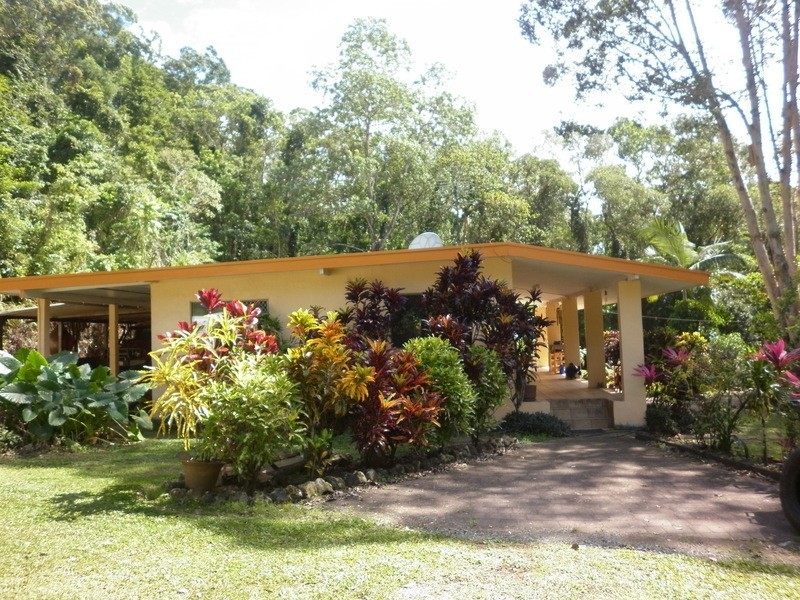 2897  Mossman Daintree Rd, Lower Daintree QLD 4873