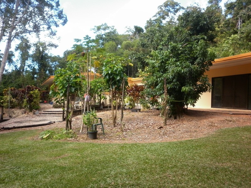 2897  Mossman Daintree Rd, Lower Daintree QLD 4873