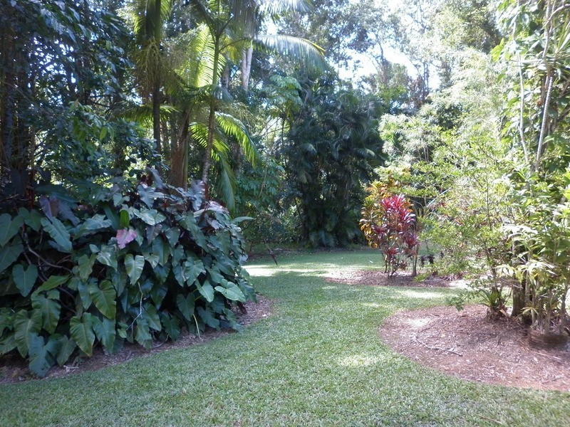 2897  Mossman Daintree Rd, Lower Daintree QLD 4873