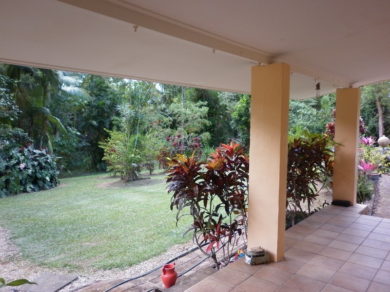 2897  Mossman Daintree Rd, Lower Daintree QLD 4873