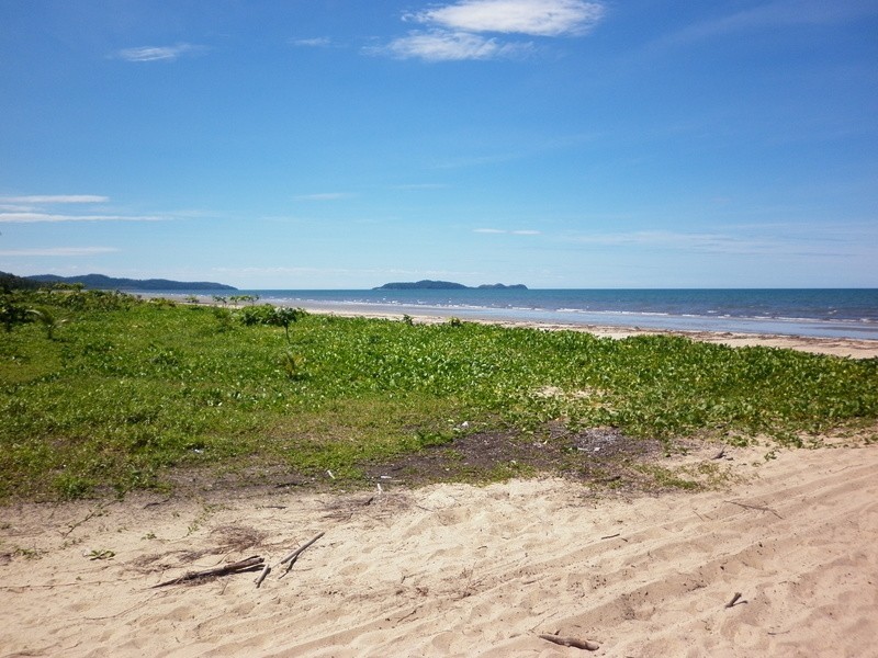 2897  Mossman Daintree Rd, Lower Daintree QLD 4873