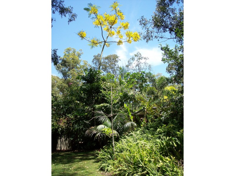 33 Straits Outlook, Craignish QLD 4655