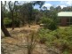 125 McKays Road, Langwarrin VIC 3910