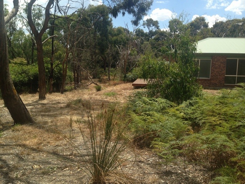 125 McKays Road, Langwarrin VIC 3910