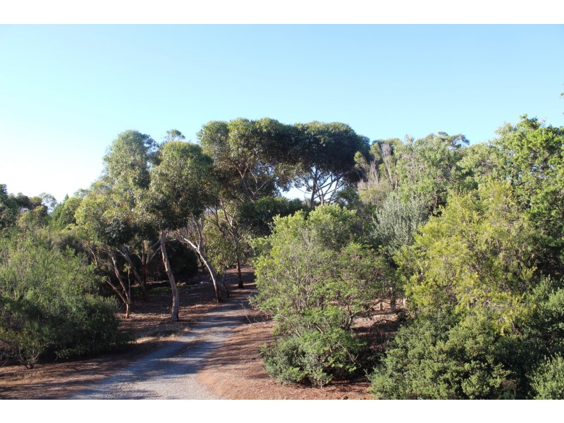 35 Hepenstal Road, Hackham SA 5163