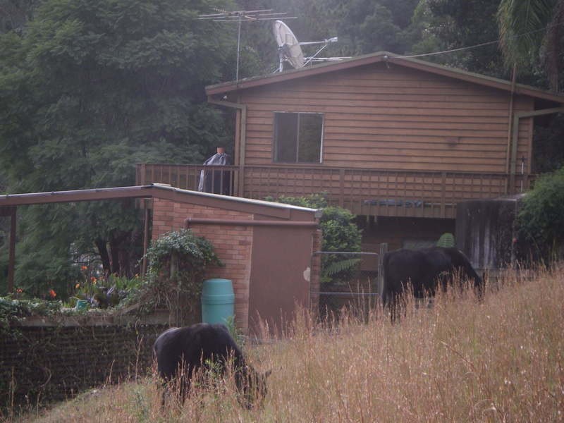 6129 Wisemans Ferry Rd, Wisemans Ferry NSW 2775