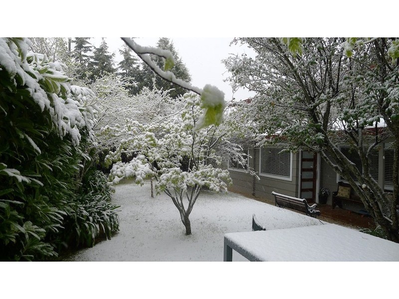 3 Britain Street, Leura NSW 2780