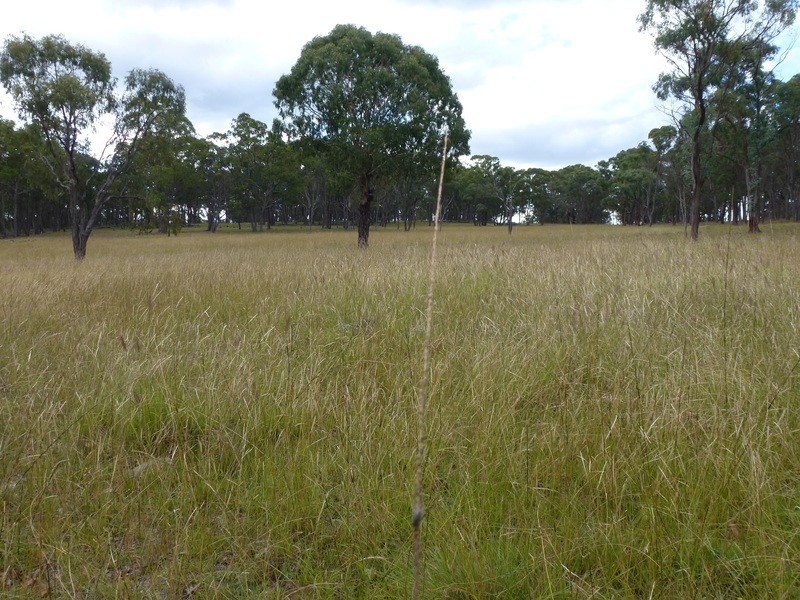 Westleigh 1000 Bullock Mountain Road, Glen Innes NSW 2370