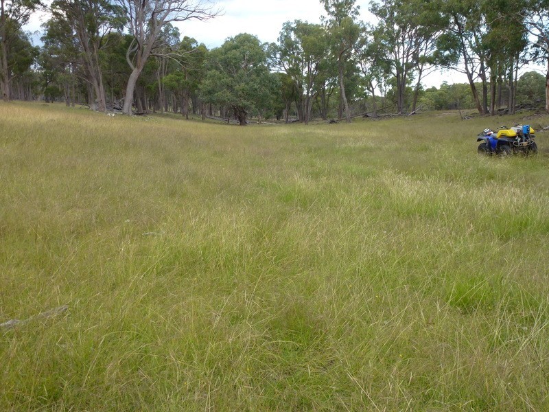 Westleigh 1000 Bullock Mountain Road, Glen Innes NSW 2370