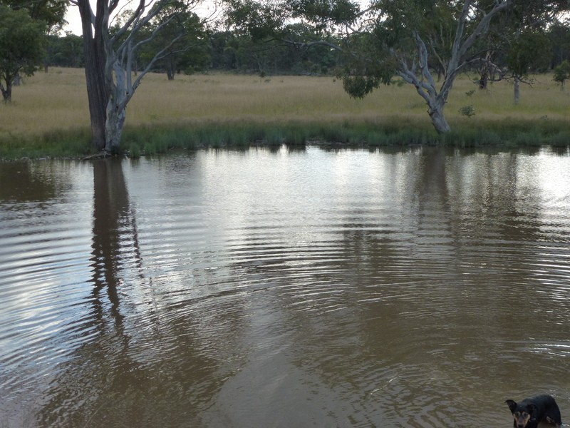 Westleigh 1000 Bullock Mountain Road, Glen Innes NSW 2370