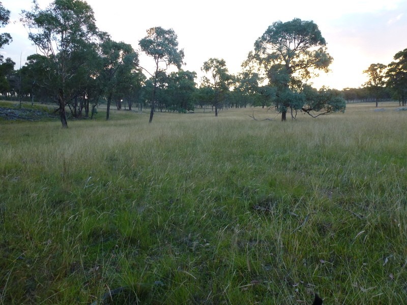 Westleigh 1000 Bullock Mountain Road, Glen Innes NSW 2370