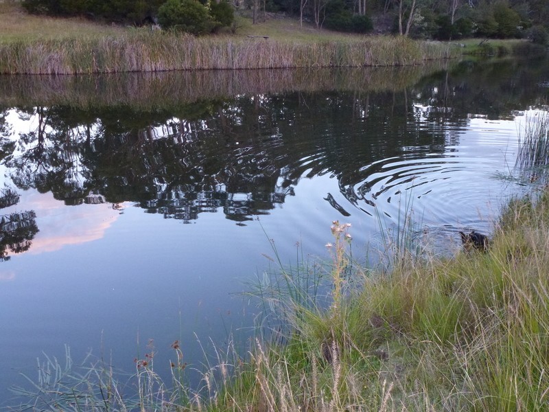 Westleigh 1000 Bullock Mountain Road, Glen Innes NSW 2370