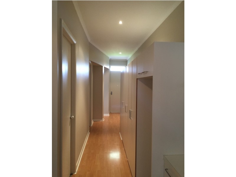 8 Hummock Lane, Mawson Lakes SA 5095