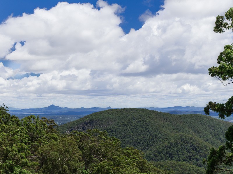 Tamborine Mountain QLD 4272