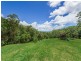 Tamborine Mountain QLD 4272