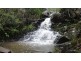 Tamborine Mountain QLD 4272