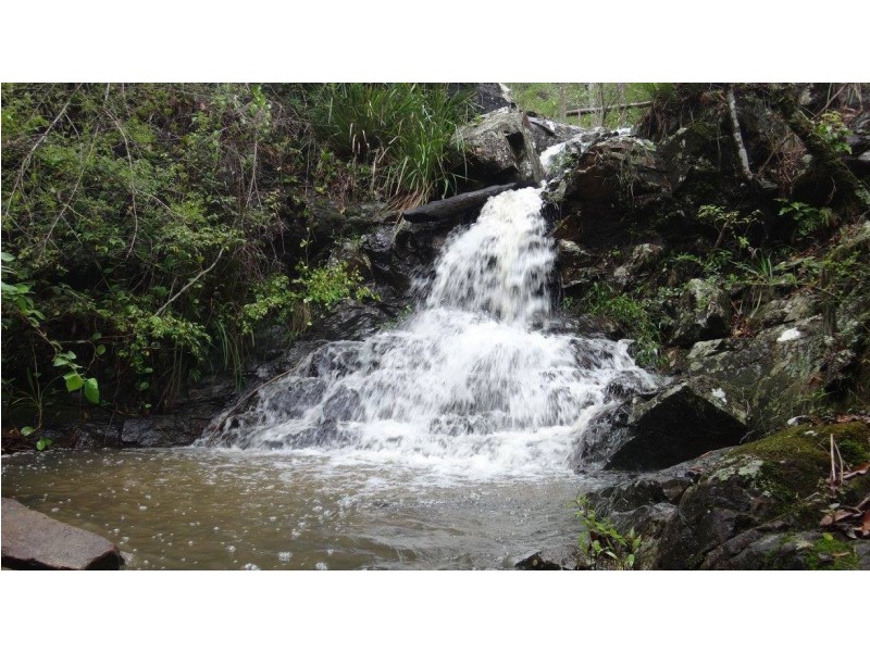Tamborine Mountain QLD 4272