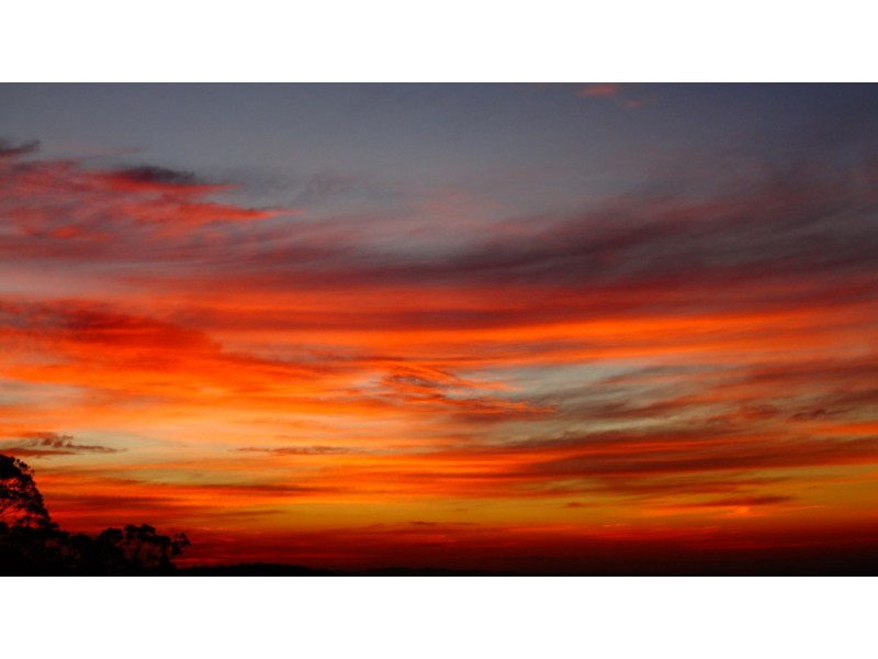 Tamborine Mountain QLD 4272