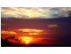 Tamborine Mountain QLD 4272